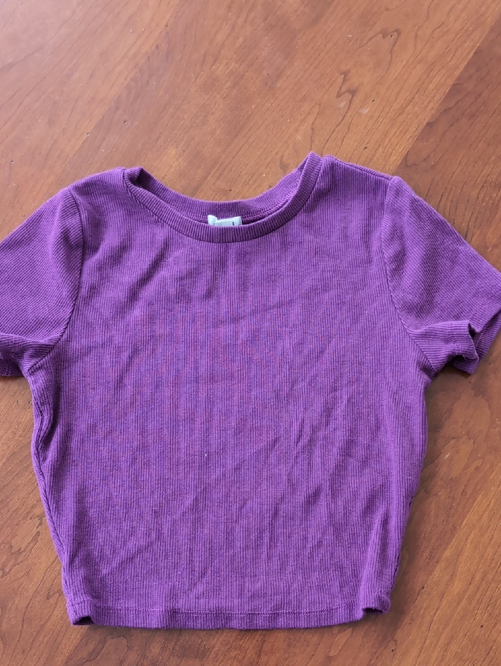 Garage Purple Ribbed Crop Top